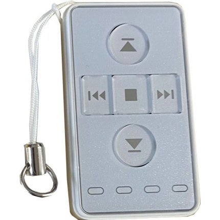Ellard Ellard Genuine Remote Control Handset for Group Control Unit AC129-04